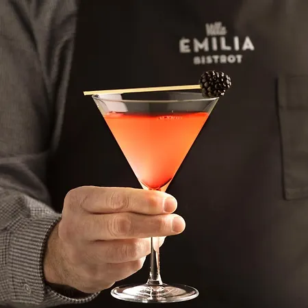 Hotel Emilia 4*